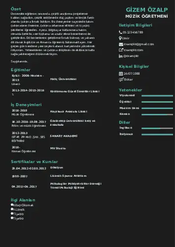 Müzik Öğretmeni Cv Örnekleri cv indir